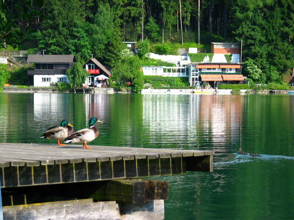 Villa Mayr Villach Bagian luar foto